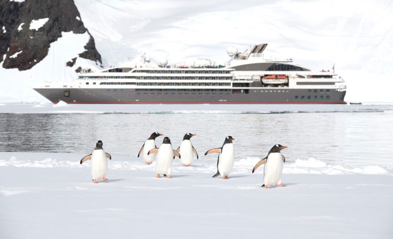 ANTARCTIQUE-Manchots Papous©StudioPonant-Sylavain ADENOT